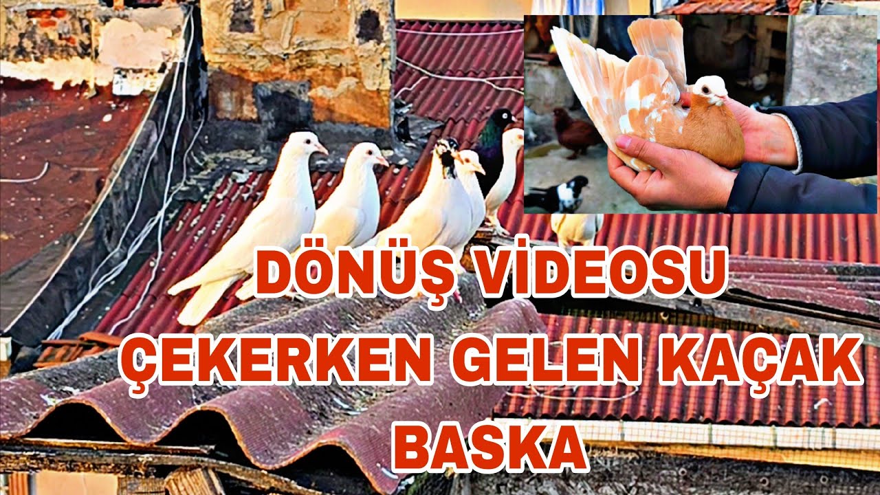 DÖNÜŞ VİDEOSU ÇEKERKEN GELEN KAÇAK BASKA TAM LAZİM OLANİNDAN