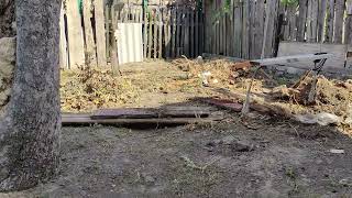 Беспредел ТЦК Мобилизация усиливается