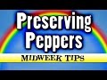 Preserving Peppers