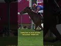 Will she Sparkle at Goodwood?! Unbeaten DIAMOND NECKLACE goes for the Qatar Nassau Stakes