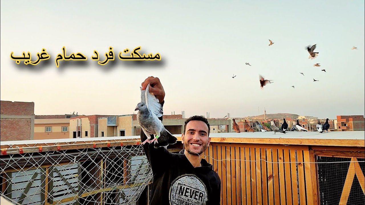 مسكت فرد حمام غريب وانا بنش 🥳وشوف عملت اي في السلاكة 😱 ؟!!