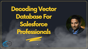 Decoding Vector Database For Salesforce Professionals