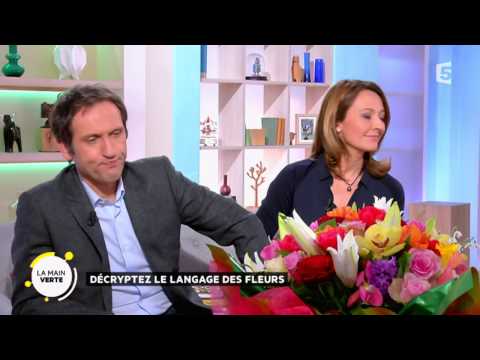 Vidéo: Comment Lire Le Langage Des Fleurs