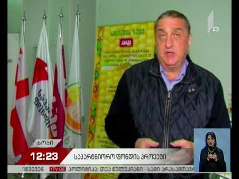 ხობში ქარხანა აშენდა