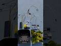 I Built a Self-Watering Plant with Arduino!