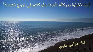 تلاوة مريحة للقلب ❤ من سورة النساء 🍃 للشيخ راغب مصطفى غلوش ❤