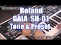 Roland gaia sh01 tone  64 preset sound english captions