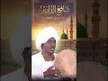 شافع الدارين