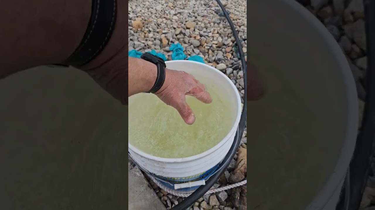 Industrial Goo... ectoplasm  slime in a 5 gallon bucket. 
