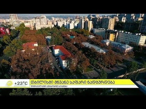 მშენებლობას შეწირული მწვანე საფარი