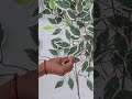 Meesho decoration find's under ₹160 #youtubeshorts #shortsfeed #meesho #unboxing #shorts .