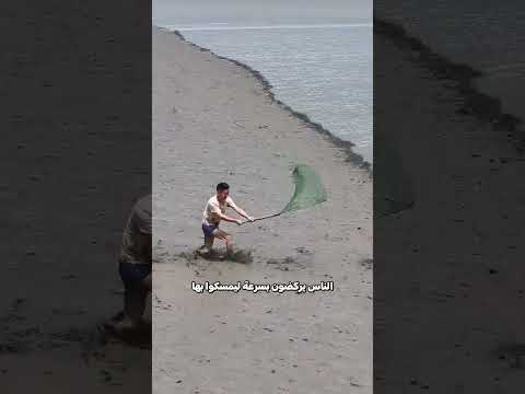 لحظات قليلة قبل أن تعود الأمواج