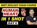 HUMAN HEART in 1 Shot | Body Fluids and Circulation 02 | Class 11 | NEET