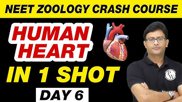 HUMAN HEART in 1 Shot | Body Fluids and Circulation 02 | Class 11 | NEET