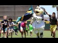 Corpus Christi Hooks mascot