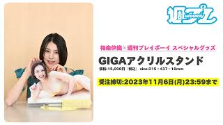 11/6まで！週刊プレイボーイ創刊５７周年記念★ #相楽伊織 40cm越えギガアクリルスタンド受注受付中