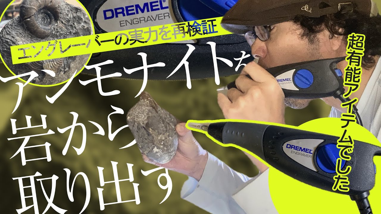 化石クリーニング初心者🔰／北海道で採れた岩からエングレーバーを使ってアンモナイトを取り出しました！結構上手くできましたよ