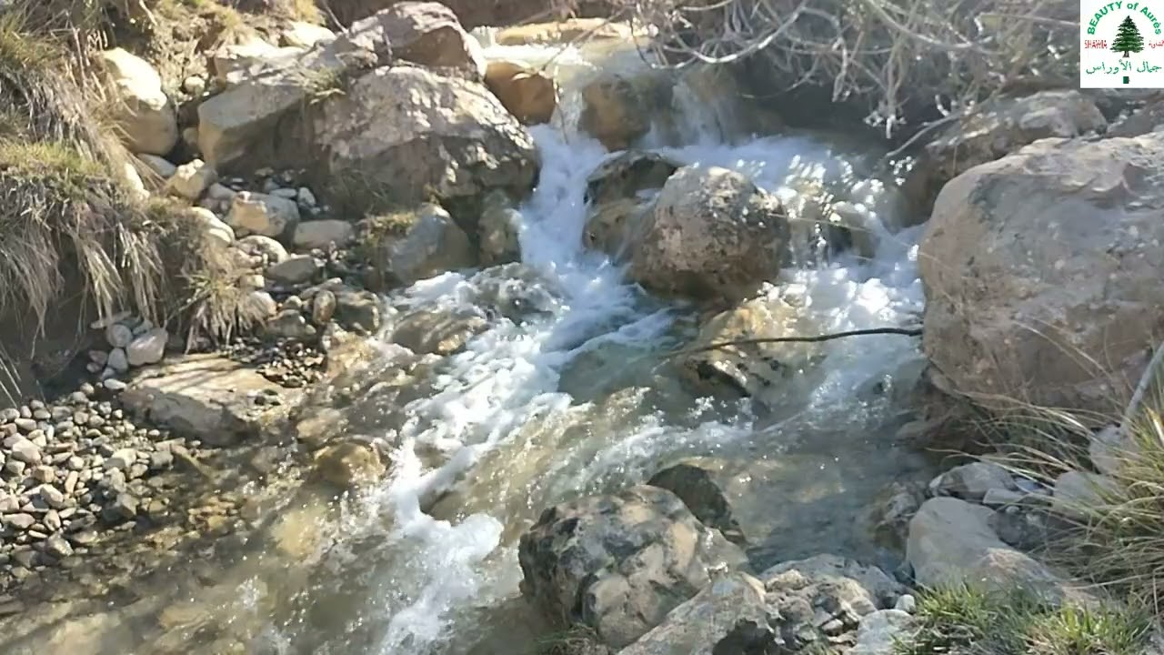 سورة المدثر، تجويد الشيخ محمد ميقاتلي الإبراهيمي- المنظر: شلال في تيفيراسين، تازولت لمباز و. باتنة