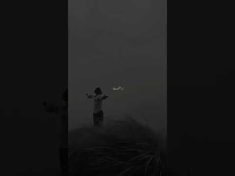 ستوريات الشامي بفديكي الشامي