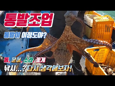 낚시의섬 통발조업 이정도일줄은...? 엄청난 조과...? 거문도 통발1탄!
