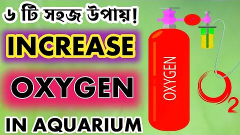 How to Increase OXYGEN in Your Fish Tank || Raise the OXYGEN LEVEL in Aquarium || Expert Aquarist