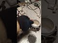 размагнитит петлей от телика