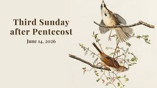 Livestream Worship - June 14, 2026 Worship June 14 2026