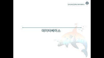 진쌤 6주차2교시 데이터베이스 MySQL Workbench 기초 SQL 및 DB 개체 리뷰 Part1