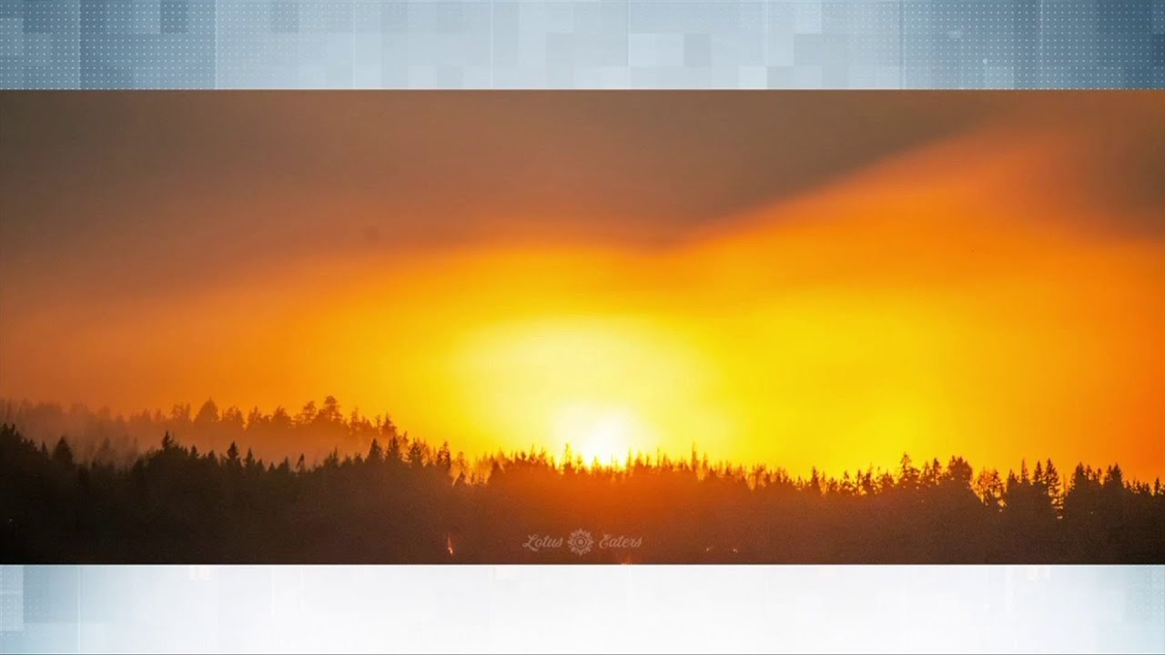 Wildfire crews prioritize homes, critical infrastructure as Wesley Ridge blaze holds at 511 hectares