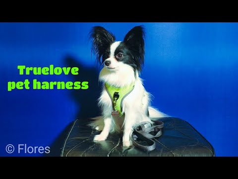 Truelove pet harness / Geschirr / Шлейка для собак с AliExpress