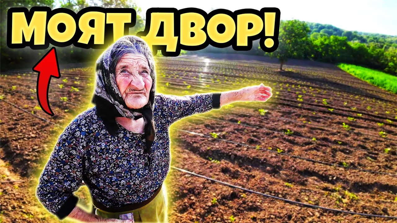 ЕЛА ДА ТИ ПОКАЖА!