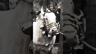 Achamagalam Tamilnadu Police