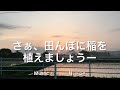 さぁ 田んぼに稲を植えましょうー 🎙️N. POP