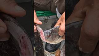Piranhas will bite your finger off!