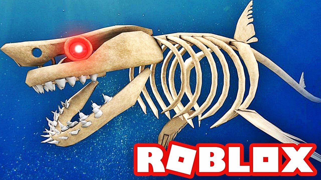 Le Meilleur Requin Du Monde Roblox Youtube - le meilleur requin du monde roblox