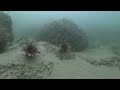 Gold Coast Seaway - 04.09.2024 | Entry #2