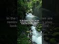 Jeremiah 29:11 | Bible Verse #shorts
