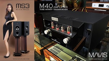 Quỳnh Lan - Chiếc lá cuối cùng (Đoàn Chuẩn) - Demo on Mavis MS3 Bookshelf & M40 Tube Mosfet OPT amp