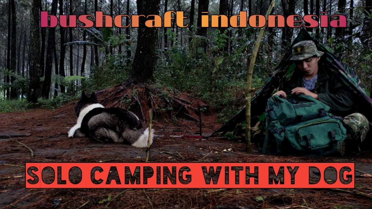 Bushcraft indonesia || Bushcraft with my dog in the rain forest | Solo ...