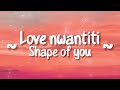 Love Nwantiti x Shape Of You Mashup (Lyrics) • Ckay • Ed Sheeran •