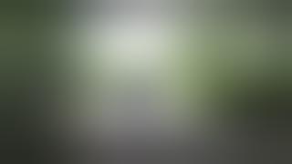 Marshangrys Vulgarity