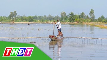Độc đáo cuộc thi kéo côn bắt cá đồng ở miền Tây | THDT