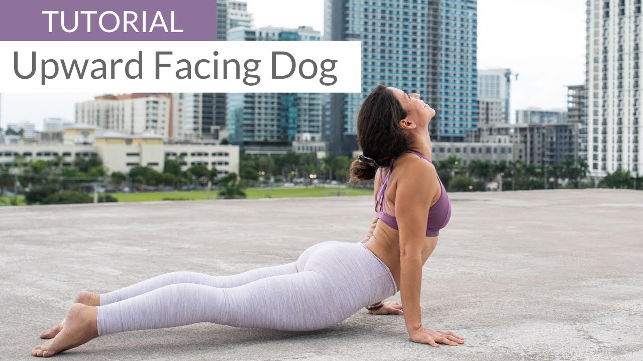 Upward Facing Dog Mistakes