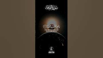 🎙️|#ياسر_الدوسري 🔰|#سورة_القيامة •—#الله #قران #allah #quran #quranms0_0