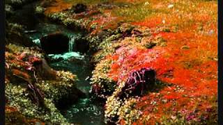 one last hurrah - lotus