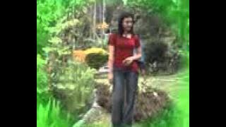 Lisa feat Miswan   Arjuno Pop Osing Modern   YouTube