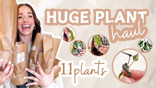 11 new rare + common plants| huge plant haul | unbox with me wishlist plants