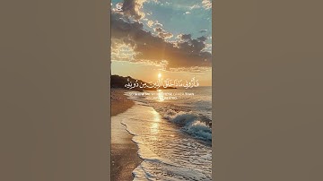 إذا أردت أن تدرك قدرة الله.. فانظر إلى نفسك، فأنت آية من آياته🍃 #راحة_نفسية