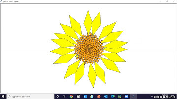 Turtle Sun Flower in Python