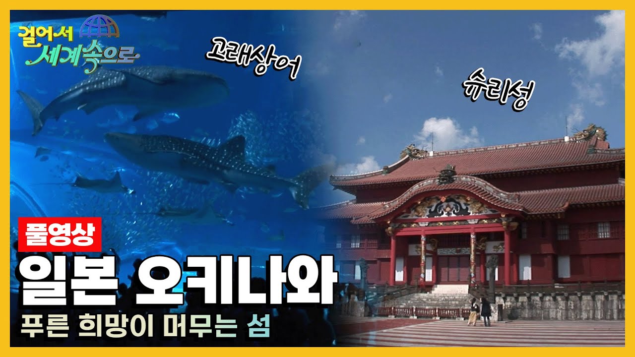 [옛날 걸어서세계속으로Full📺] '일본 오키나와' Trip to Okinawa (KBS_20081011)